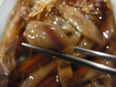 生ホタルイカ沖漬け_f0157910_15573213.jpg
