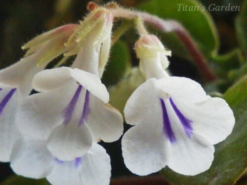 b0099813_0141811.jpg