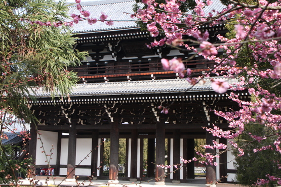涅槃会 東福寺_e0048413_19345572.jpg