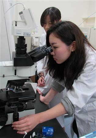 戦後最大の科学の危機？：ついに日本の科学技術に「韓の法則」が発動される！？_e0171614_19382779.jpg