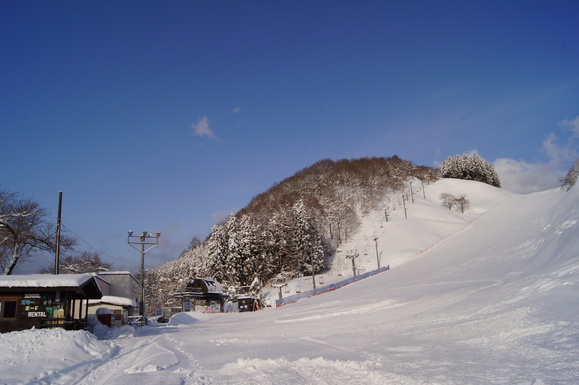 a0173819_826937.jpg