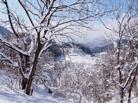 b0147224_2133251.jpg