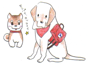 ダッキーからのお知らせ・・ホン デ リンク_c0155326_725378.jpg