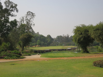 a0124132_2218286.jpg