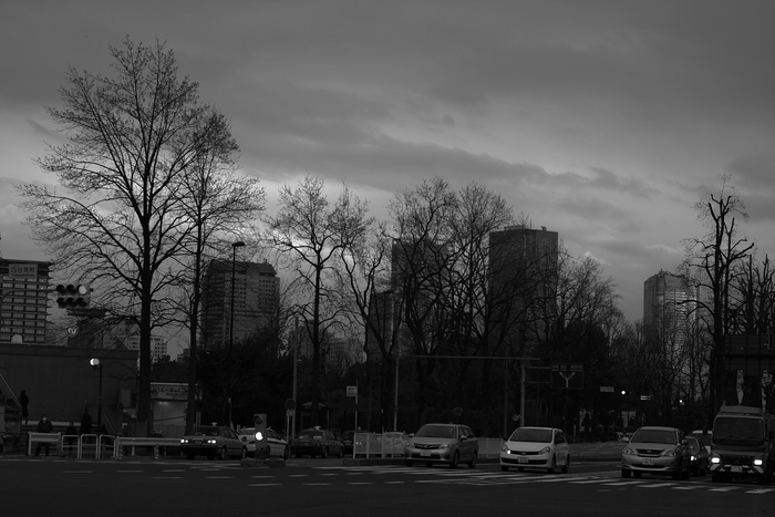 e0191232_23678.jpg