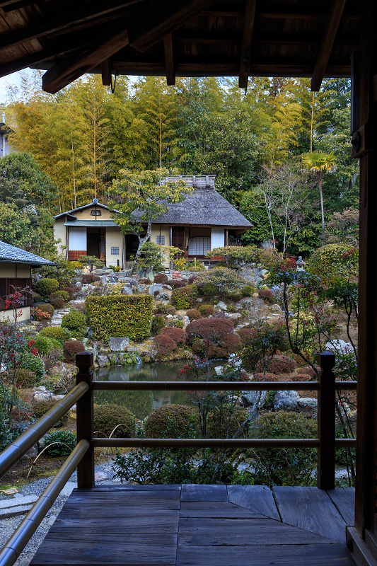 有楽椿の散るお庭（等持院）_f0155048_2147143.jpg