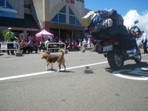 f0046250_1561679.jpg