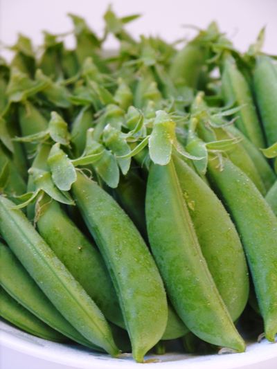 スナップエンドウ「シャキ甘“菊光”」 開花と今期の発売日決定!!_a0254656_16462312.jpg