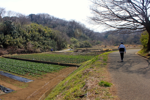 間もなく桜が 。。。! ?_a0248459_19554799.jpg