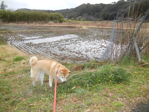 ’14,3,14(金)母に会いに行ってきたよ~!_f0060461_149787.jpg