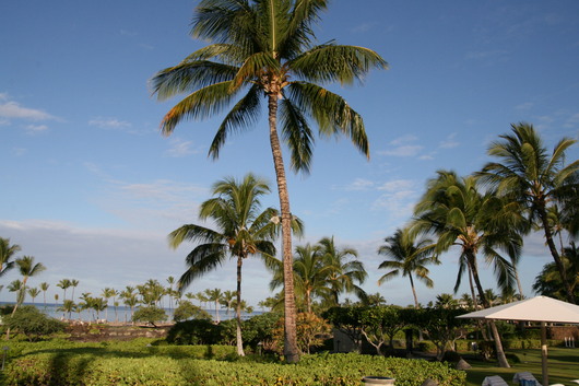 c0115366_23222448.jpg
