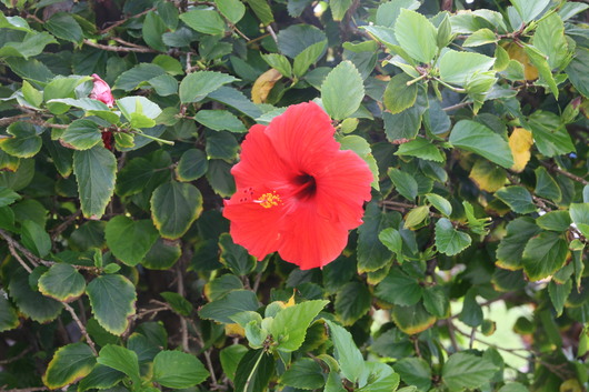 c0115366_235590.jpg