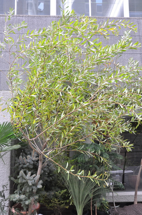 e0198377_12332218.jpg