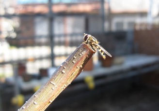 c0117898_17200840.jpg