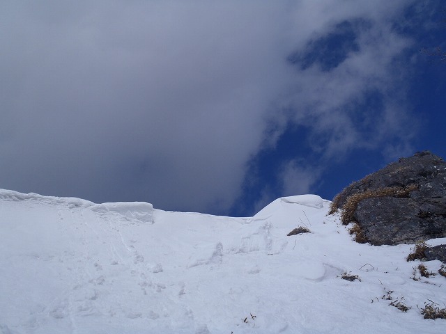 c0147398_1510147.jpg