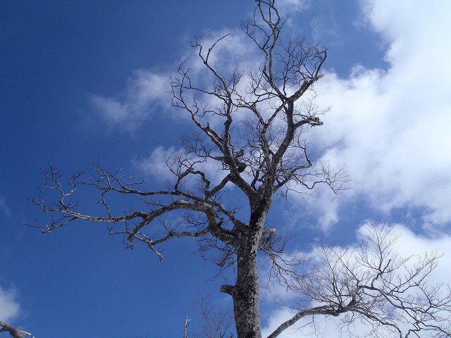 大峰山系 釈迦ヶ岳 1day_c0147398_1545967.jpg