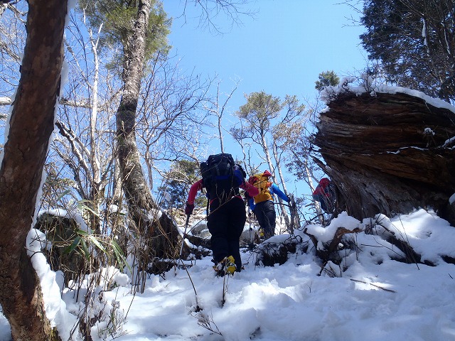 c0147398_158157.jpg