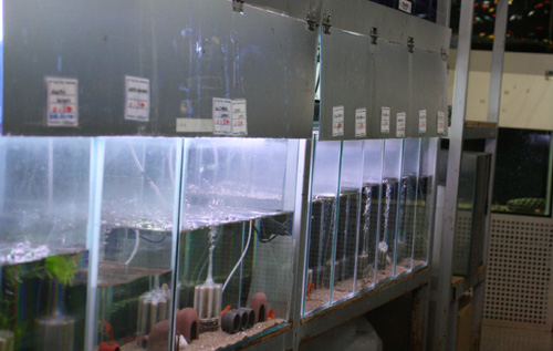 c0165800_20283644.jpg