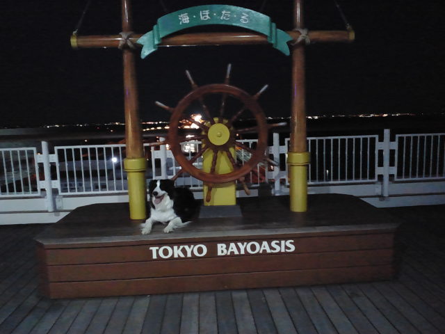d0224111_1961270.jpg