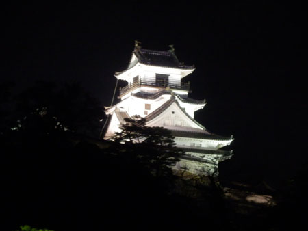 高知城とグルメ探訪 高知・四万十・松山の旅3_e0048413_16403027.jpg