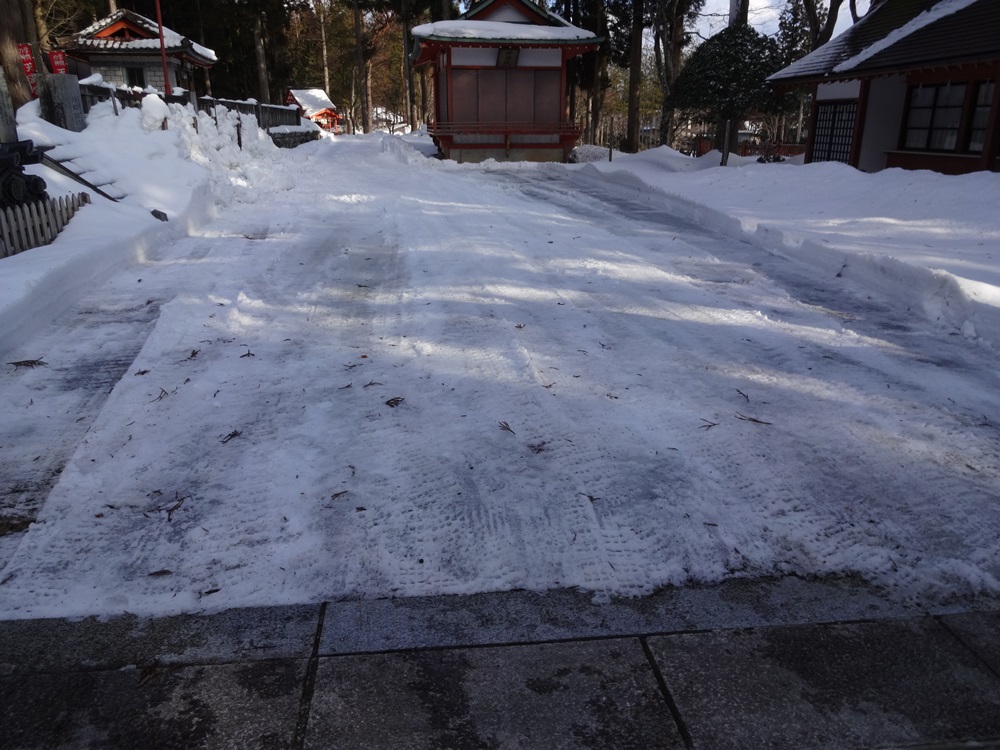 陽気に誘われて除雪_c0111229_17534558.jpg