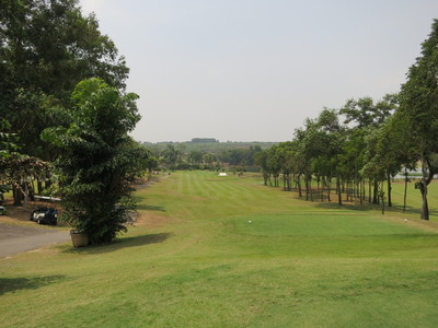 a0124132_8175238.jpg