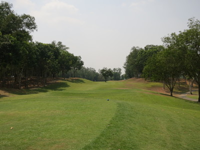 a0124132_8185511.jpg