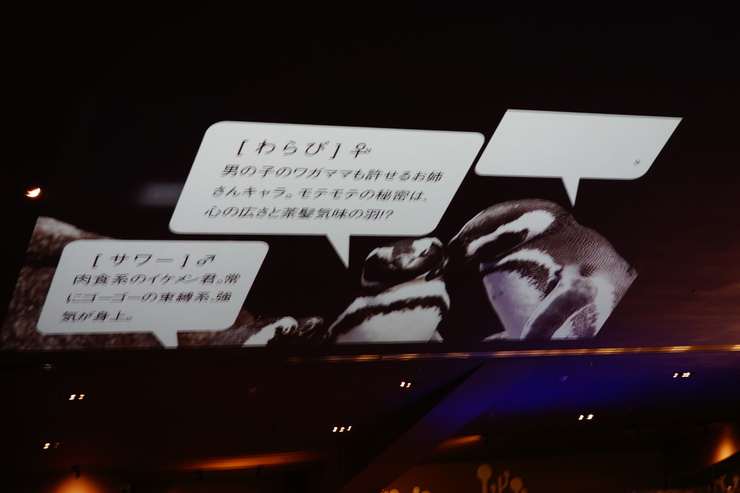 浅草をぶらぶら その21~すみだ水族館 その2_a0287336_1153922.jpg