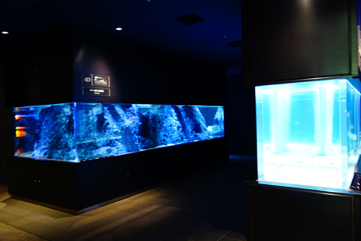 浅草をぶらぶら その21~すみだ水族館 その2_a0287336_1252264.jpg
