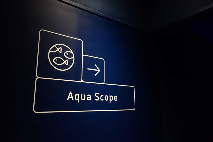 浅草をぶらぶら その21~すみだ水族館 その2_a0287336_1314392.jpg