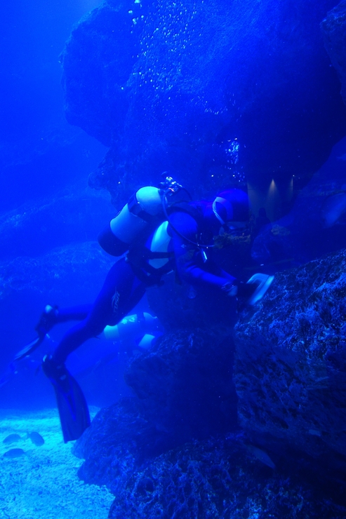 浅草をぶらぶら その21~すみだ水族館 その2_a0287336_1331272.jpg
