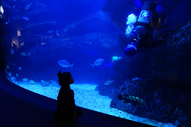 浅草をぶらぶら その21~すみだ水族館 その2_a0287336_1345427.jpg