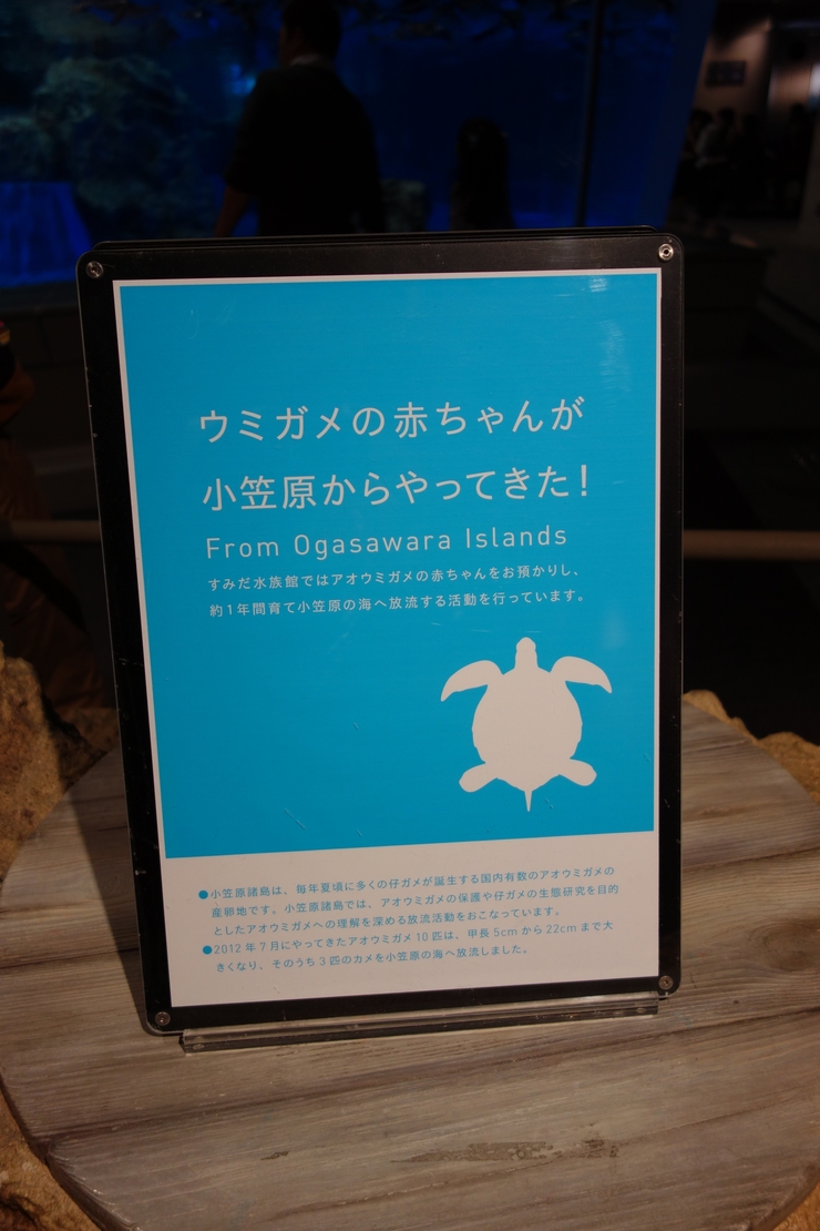 浅草をぶらぶら その21~すみだ水族館 その2_a0287336_1362172.jpg