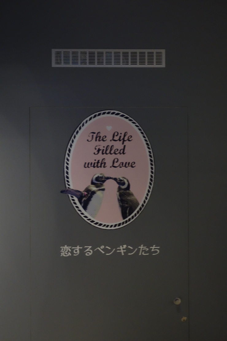 浅草をぶらぶら その21~すみだ水族館 その2_a0287336_137128.jpg