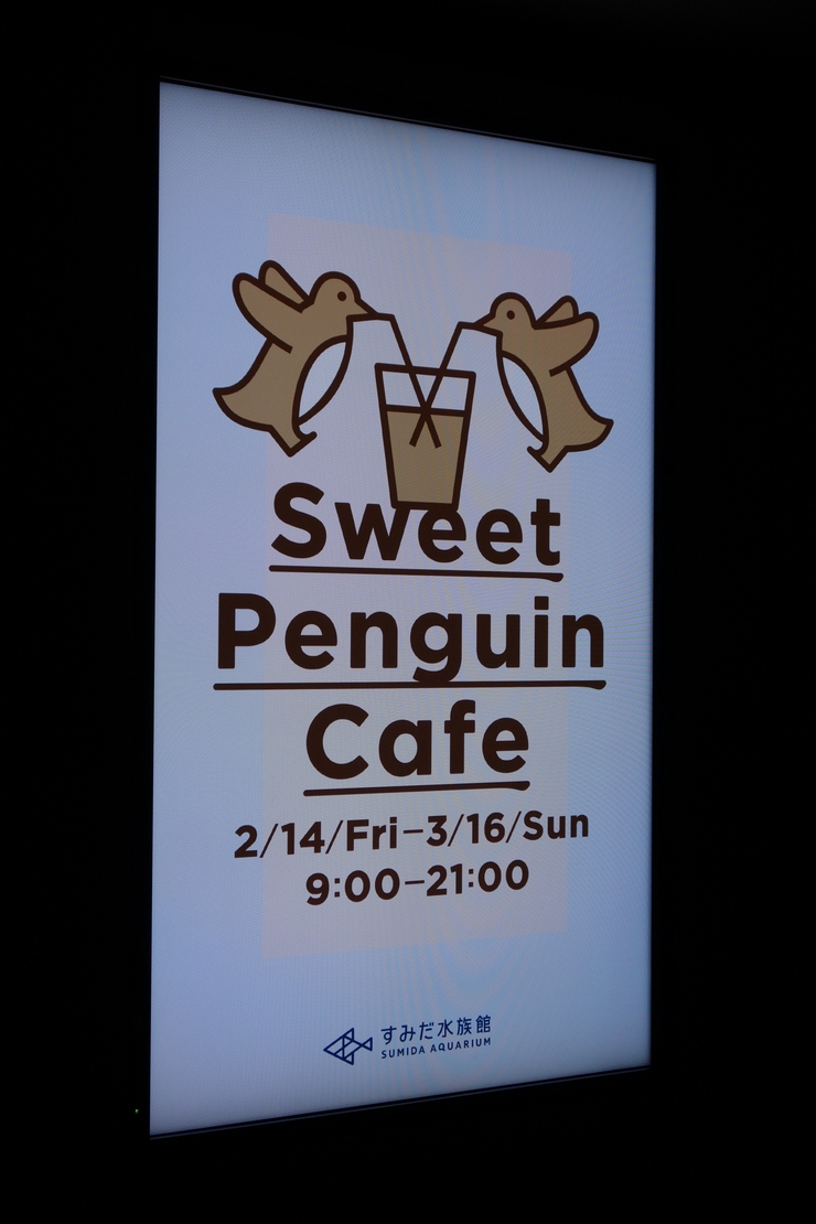 Penguin Cafe(ペンギンカフェ) すみだ水族館/カフェ~浅草をぶらぶら その22_a0287336_2103556.jpg