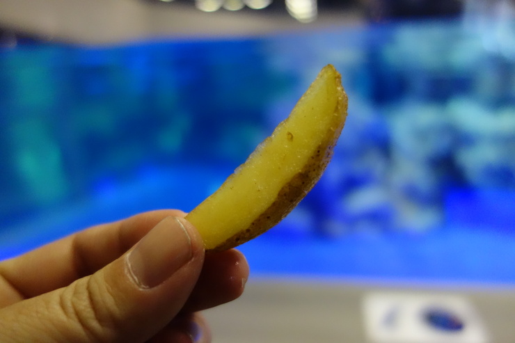Penguin Cafe(ペンギンカフェ) すみだ水族館/カフェ~浅草をぶらぶら その22_a0287336_225275.jpg