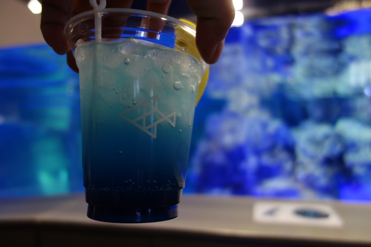Penguin Cafe(ペンギンカフェ) すみだ水族館/カフェ~浅草をぶらぶら その22_a0287336_2523786.jpg