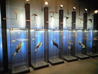 b0330040_01083296.jpg