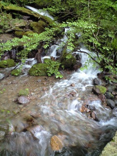 b0330040_01134068.jpg