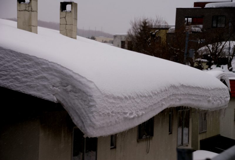 多雪の年は　豊作とか……_f0119643_10334412.jpg