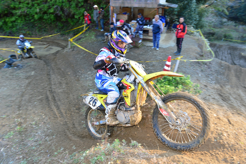 a0045346_1310137.jpg