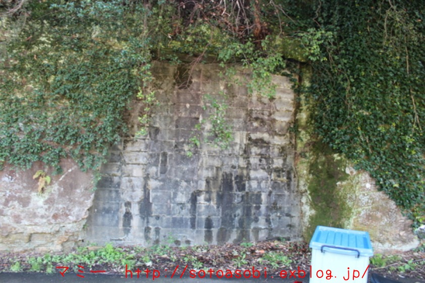 d0105749_181391.jpg