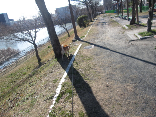 f0245650_21143003.jpg