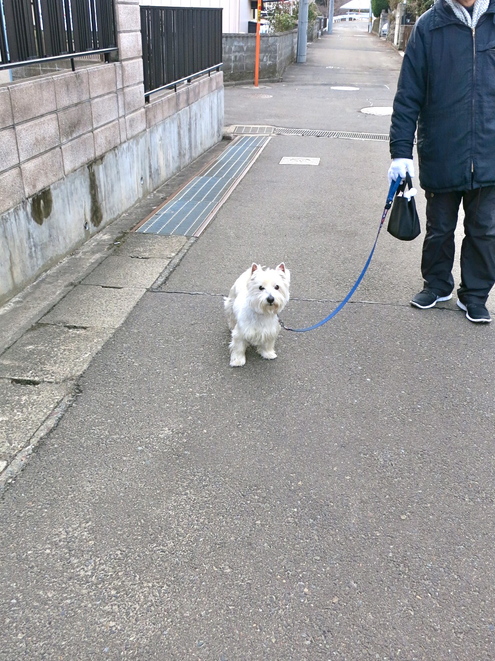 春はどこまで?_c0260460_2185369.jpg