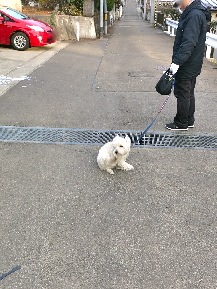 春はどこまで?_c0260460_2192114.jpg