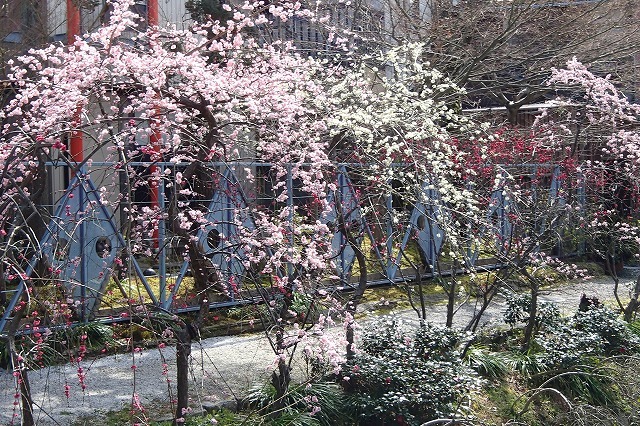 b0044663_095843.jpg