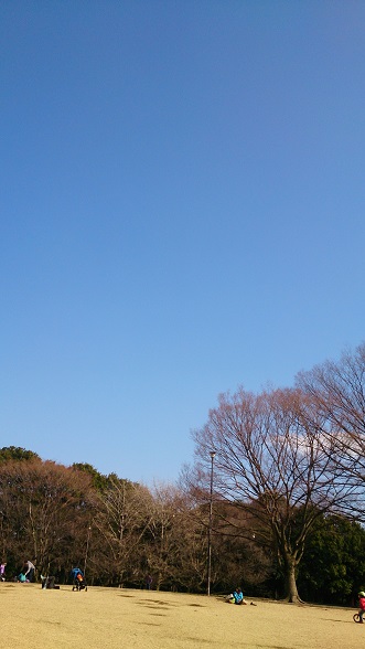 a0275565_20152301.jpg