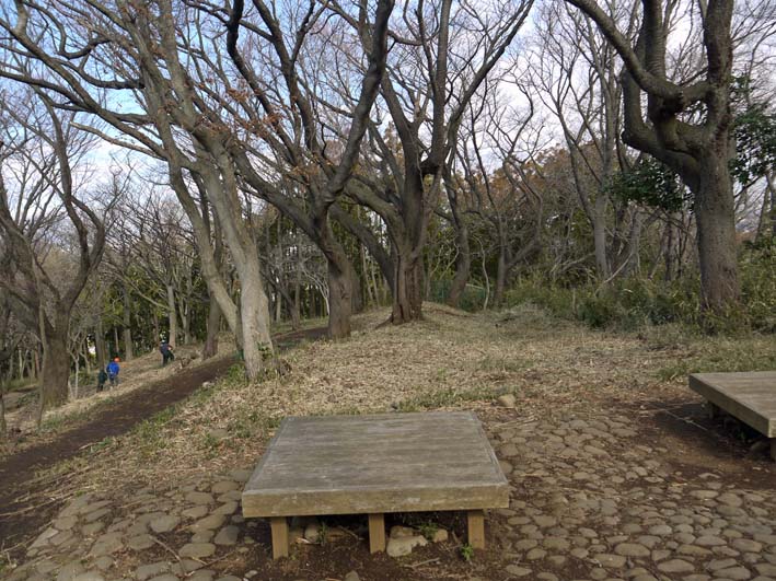 YOUNG JUON 山上剛さんデビュー3月六国見山定例手入れ_c0014967_19345532.jpg