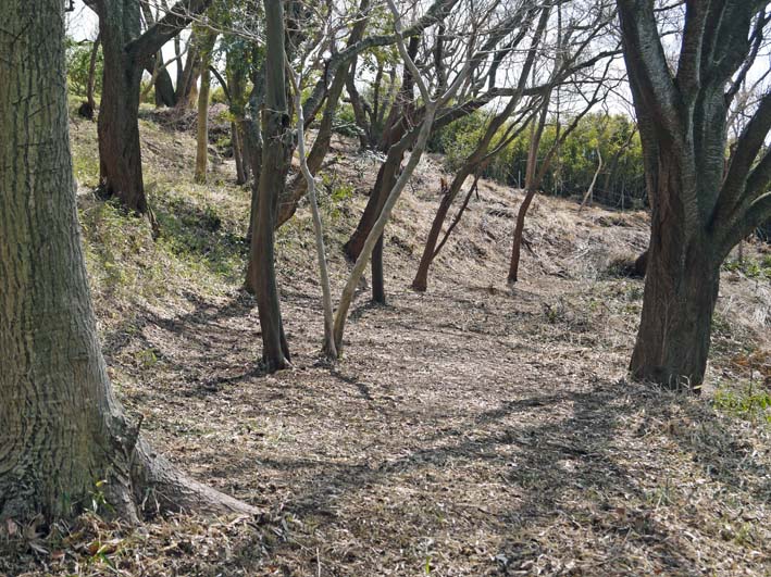 YOUNG JUON 山上剛さんデビュー3月六国見山定例手入れ_c0014967_19364347.jpg