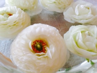 白い花とクリアな日々***_e0290872_15273467.jpg